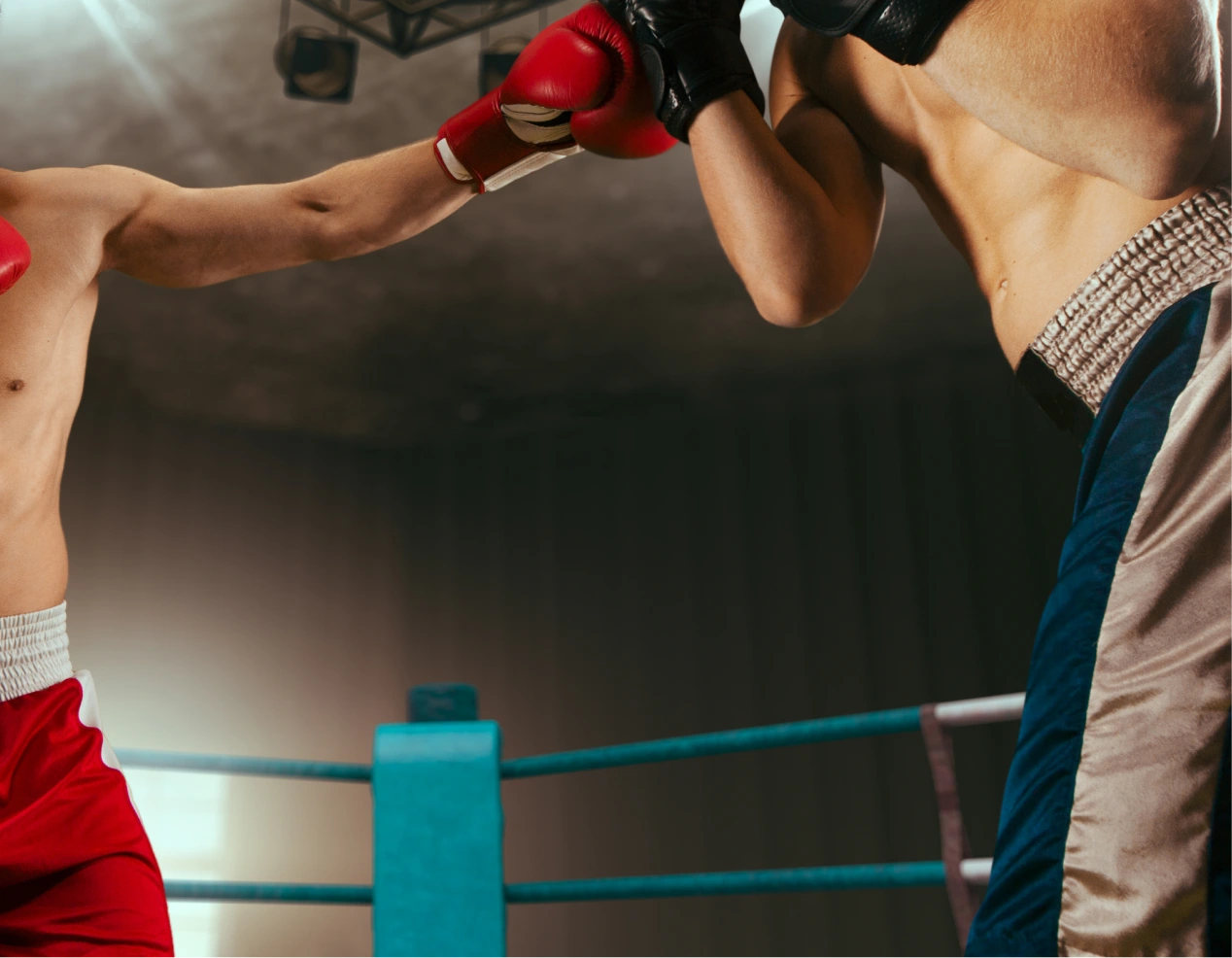 現役・元プロ格闘家が在籍