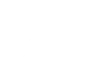 現役・元プロ格闘家が在籍